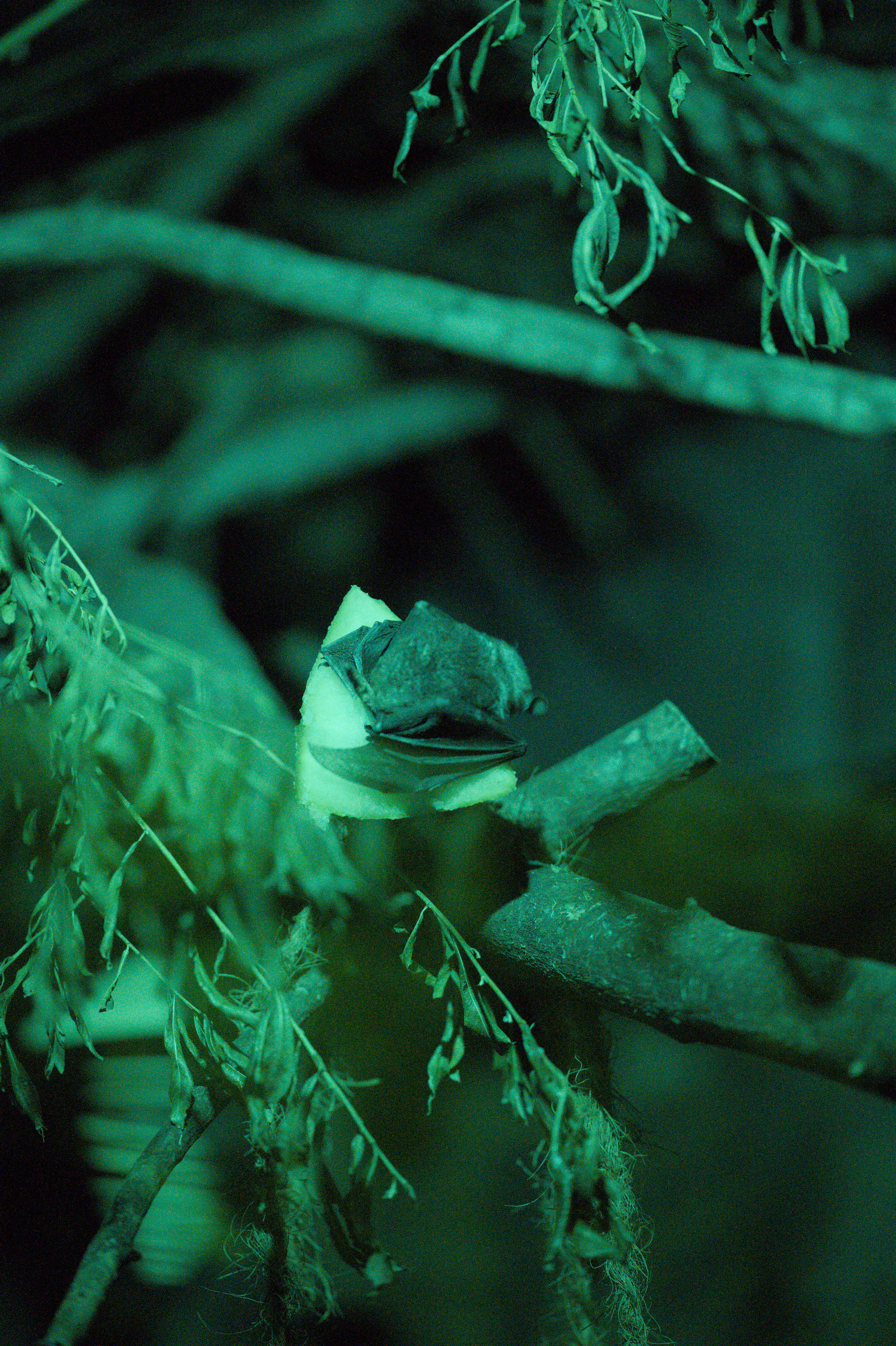 2025/10/12 - zoo/DSC_0283.jpg